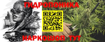 а пвп мука Кингисепп