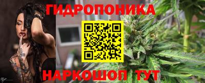 а пвп мука Кингисепп