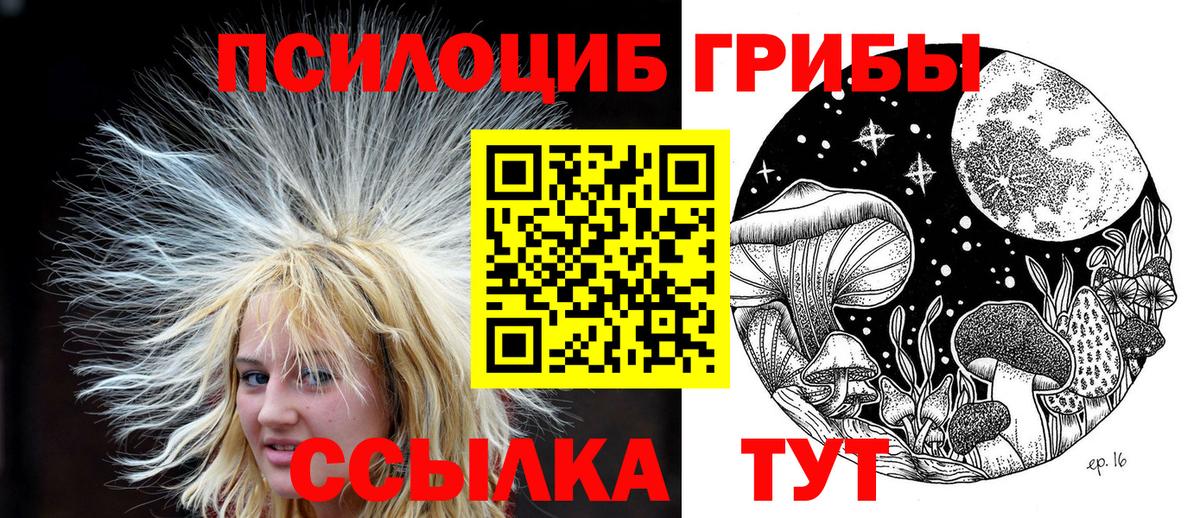 Уссурийск  Галлюциногенные грибы Psilocybine cubensis  Вход с VPN 